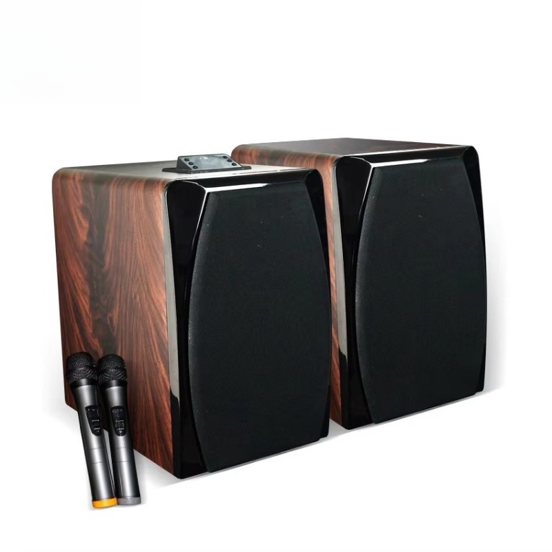 High Performance Active Karaok - Audio Music For 리뷰 및 가격