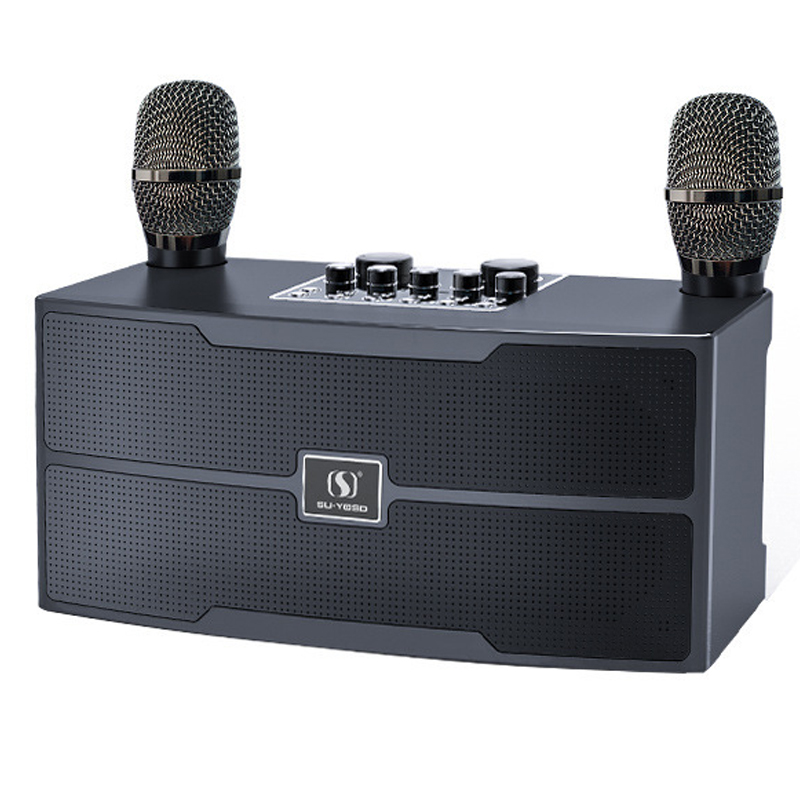 120W High Power Wireless Porta - Audio Music Apple 리뷰 및 가격