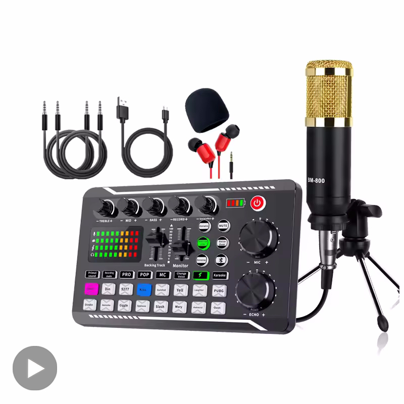 Professional Microphone Mic Bl - Audio Music Changer 리뷰 및 가격