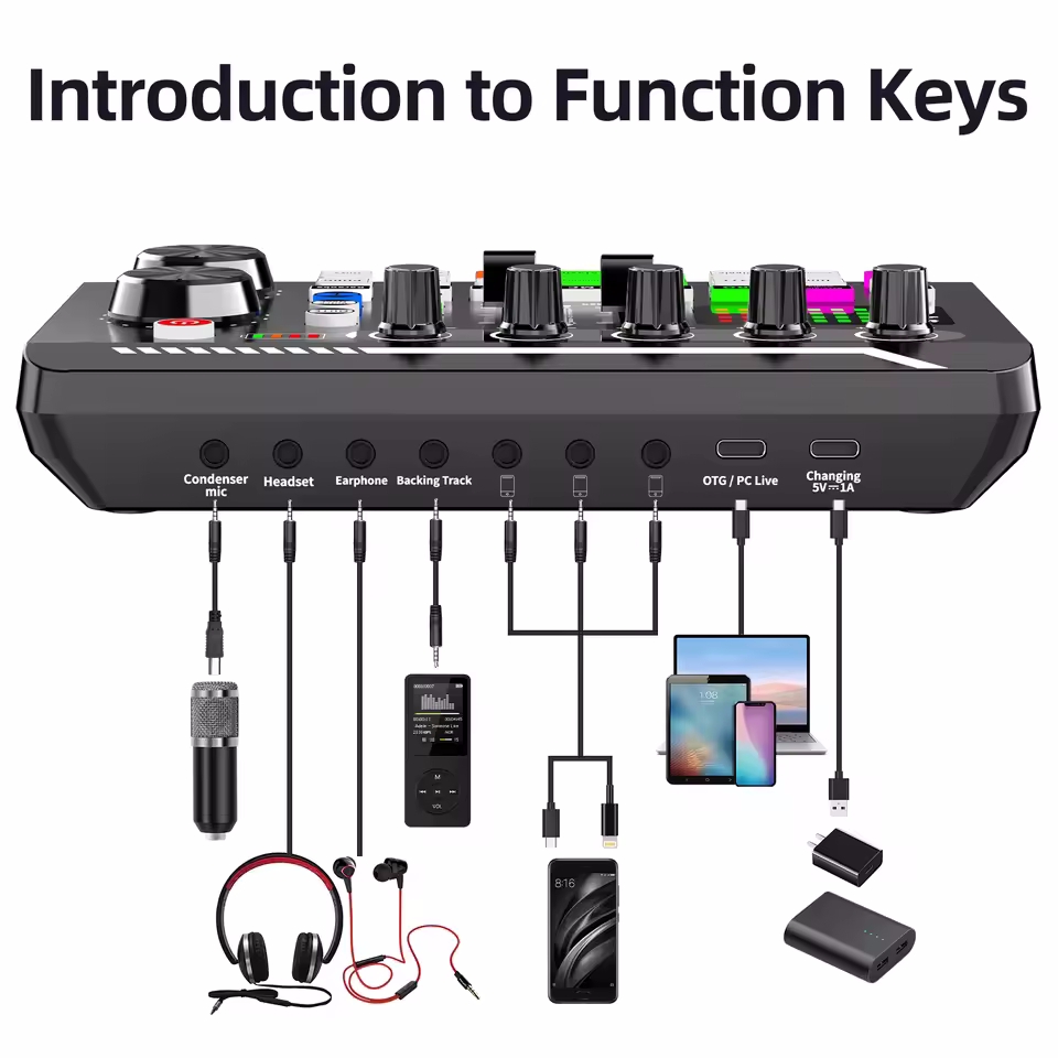 Professional Microphone Mic Bl - Audio Music Changer 리뷰 및 가격