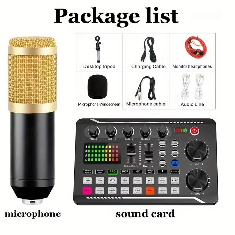 Condenser Microphone Professio - Audio Music Changer 리뷰 및 가격